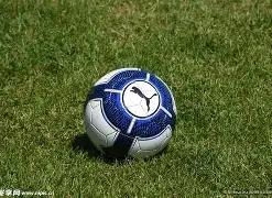 石家庄翔蓝,分优势击败,长沙勇胜,678体育平台,678体育官方网站,678体育登录入口,678体育app下载