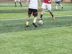 深圳马可波,罗队常规赛,击败吉林长,678体育平台,678体育官方网站,678体育登录入口,678体育app下载